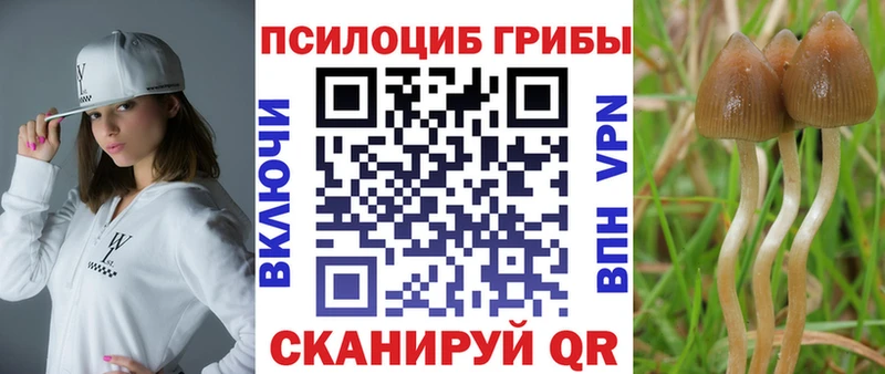 Галлюциногенные грибы MAGIC MUSHROOMS Вичуга