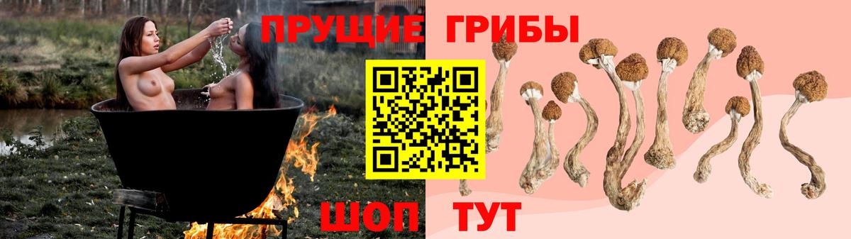 где купить   Галлюциногенные грибы Magic Shrooms  Вход с VPN  Галлюциногенные грибы ЛСД  Вичуга 